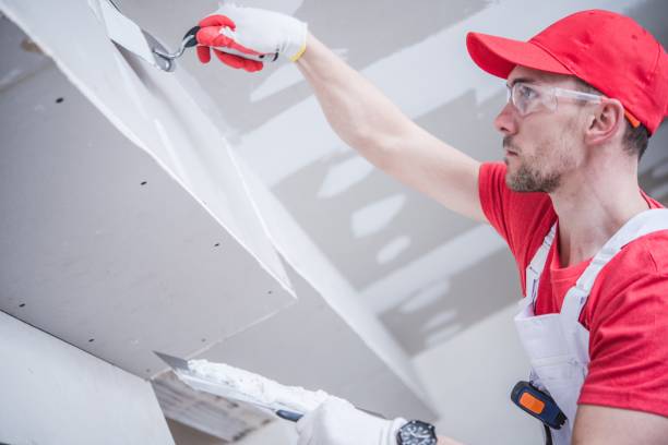 Best Trim and Molding Painting  in Morrice, MI